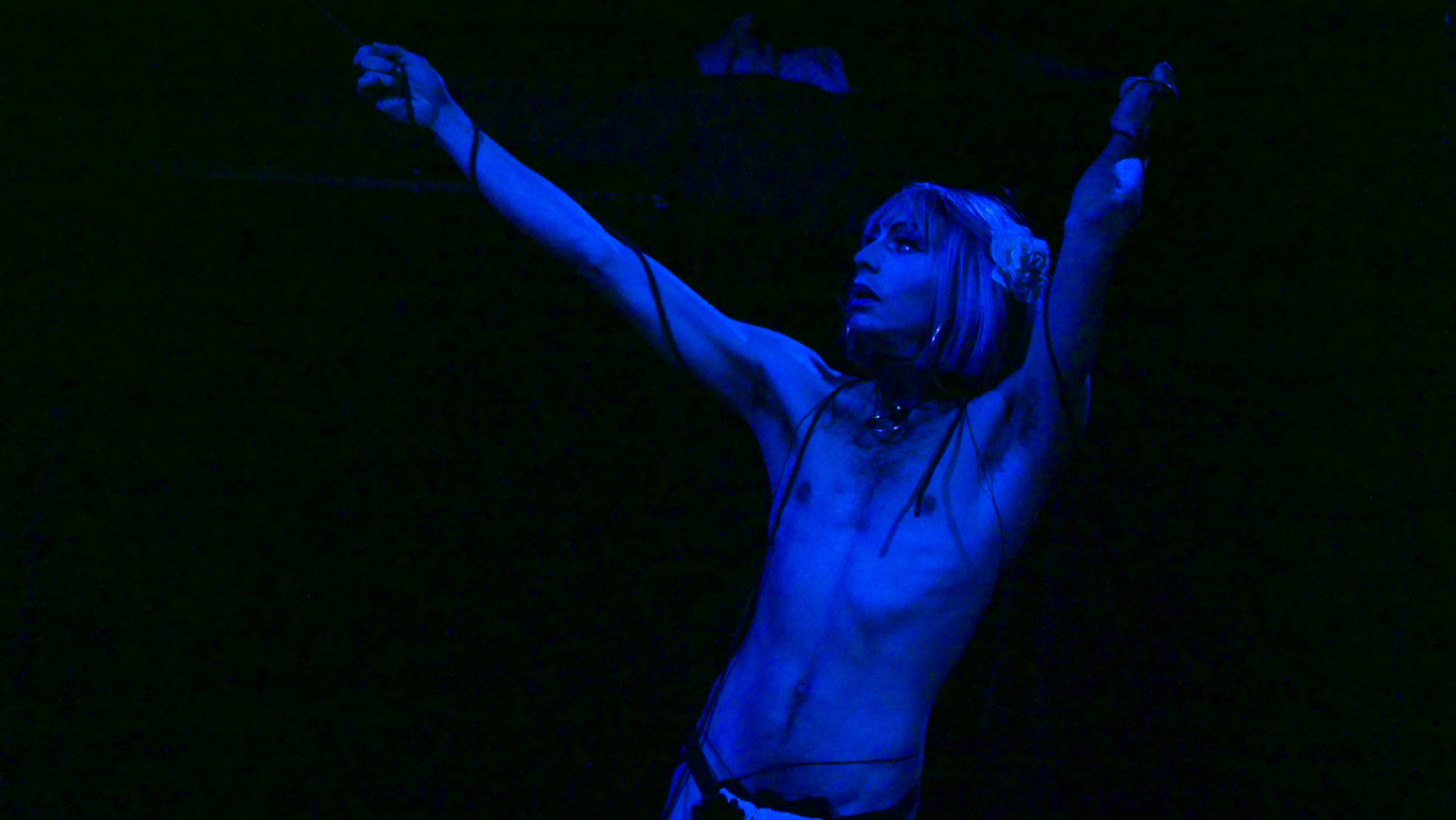 Performance de drag show avec lumière bleue