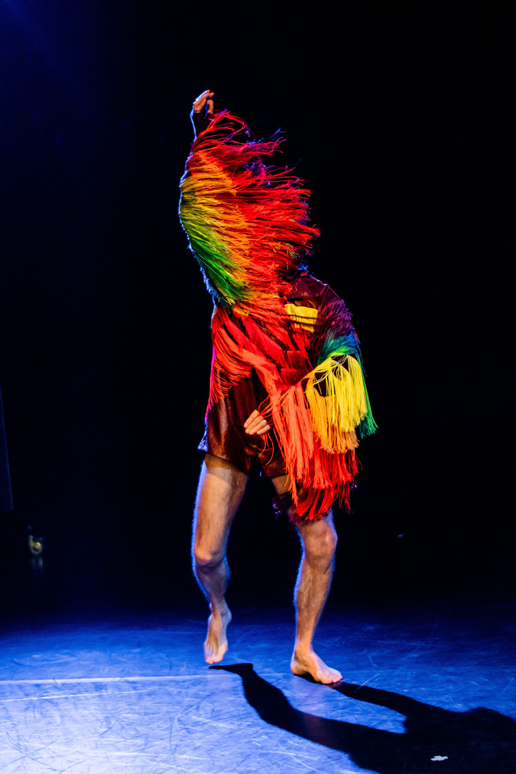 Thierry Smits danse, le bras droit levé. Il porte un costume très coloré, comme des plumes d'oiseau