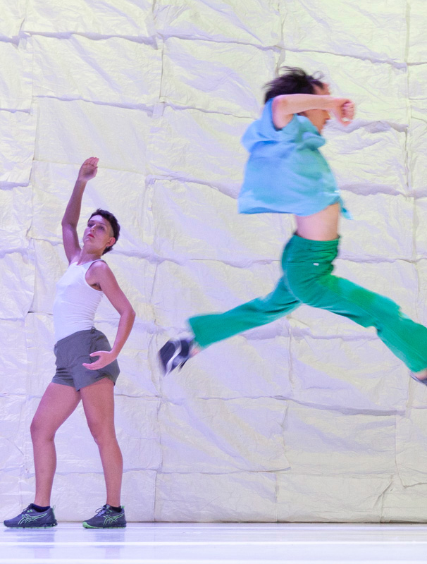 Deux danseurs du spectacle. L'un saute en l'air, les jambes écartées, une autre lève le bras en l'air. L'un porte un pantalon vert et un t-shirt bleu, l'autre un short gris et un t-shirt blanc.