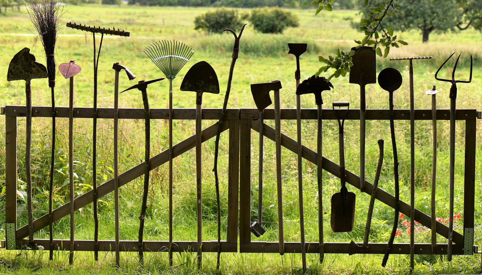 Une barrière faite d'outils de jardin est fermée et donne sur un grand pré.